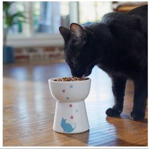 BNIB elevated cat dish